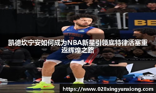 辉达娱乐官方app