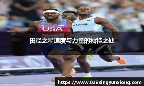 辉达娱乐官网